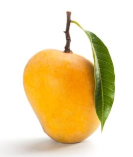 Sindhri Mangoes – 5KG