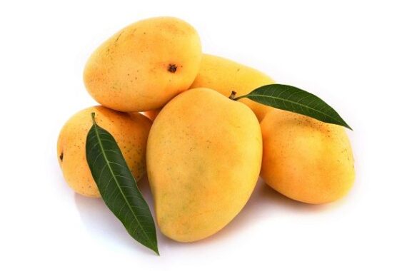 Sindhri Mangoes – 8KG
