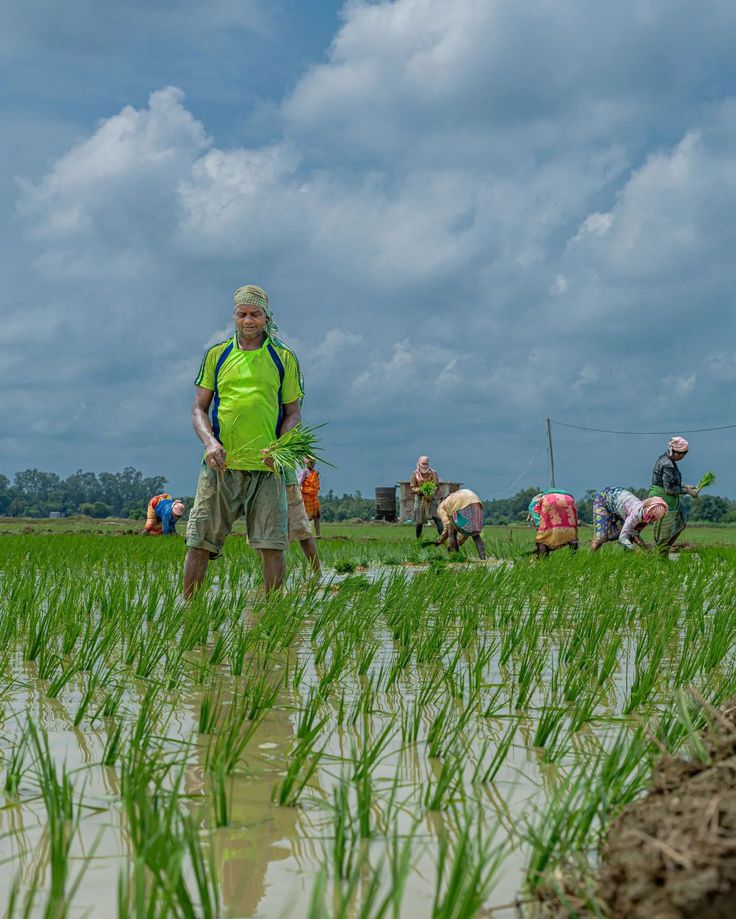 Agricultural Renaissance: Cultivating a Sustainable Future with ZariHub