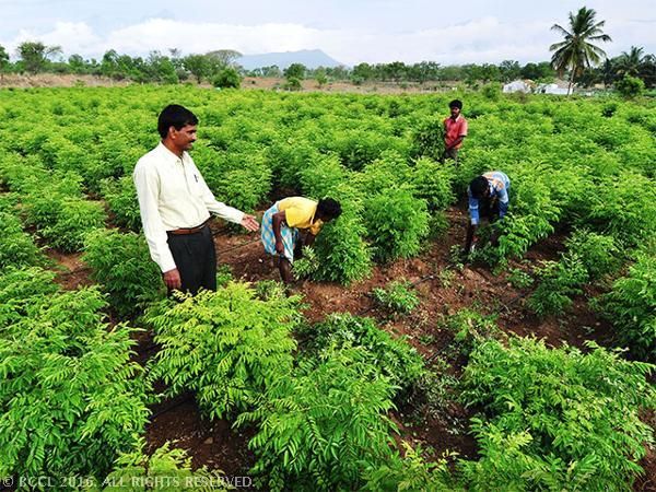 Revolutionizing Agriculture: Embracing Innovation for a Sustainable Future