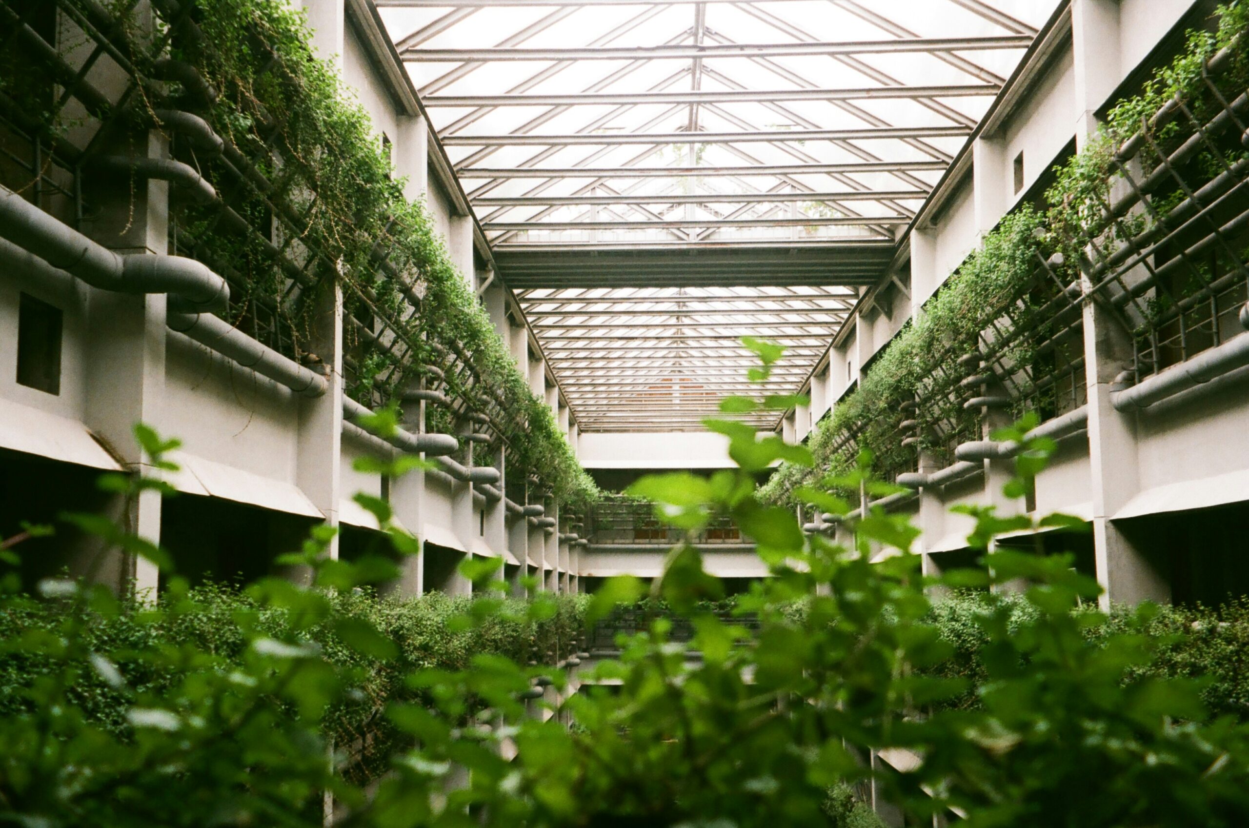 Vertical Farming: The Future of High-Tech Urban Agriculture
