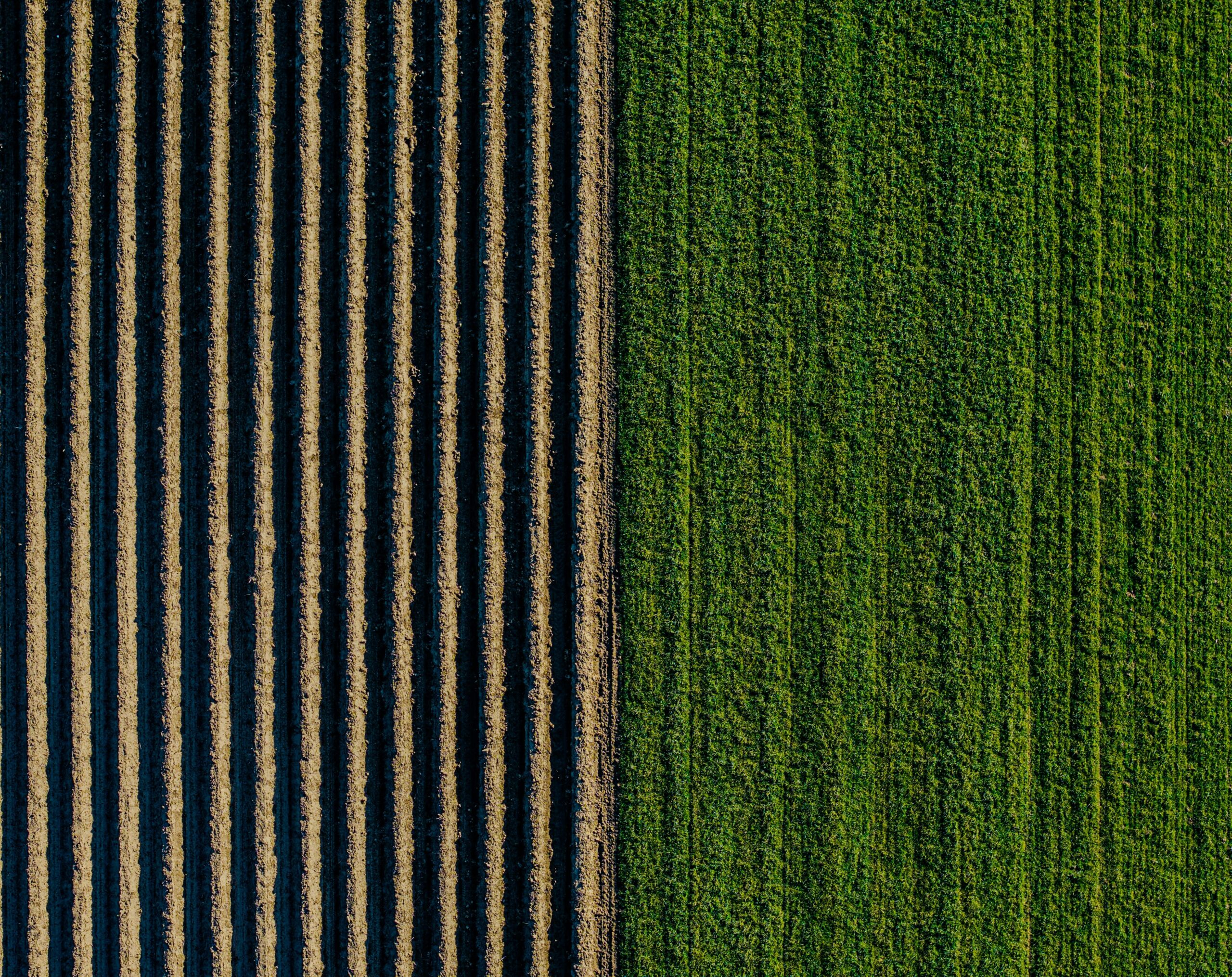 Precision Farming: A Long-Form Guide to Data-Driven Modern Agriculture