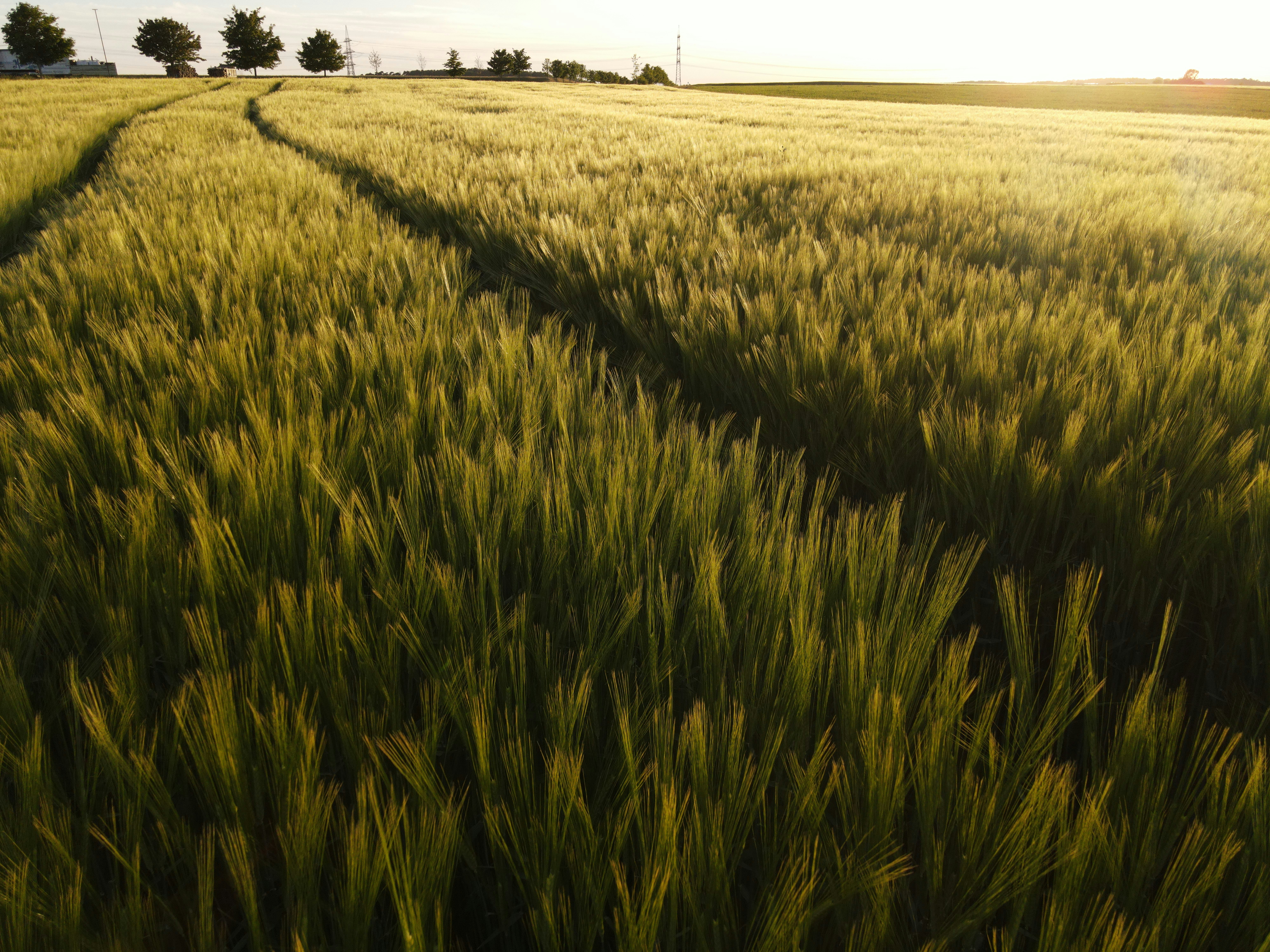 Climate-Smart Agriculture: A Complete Long-Form Guide for Sustainable Farming
