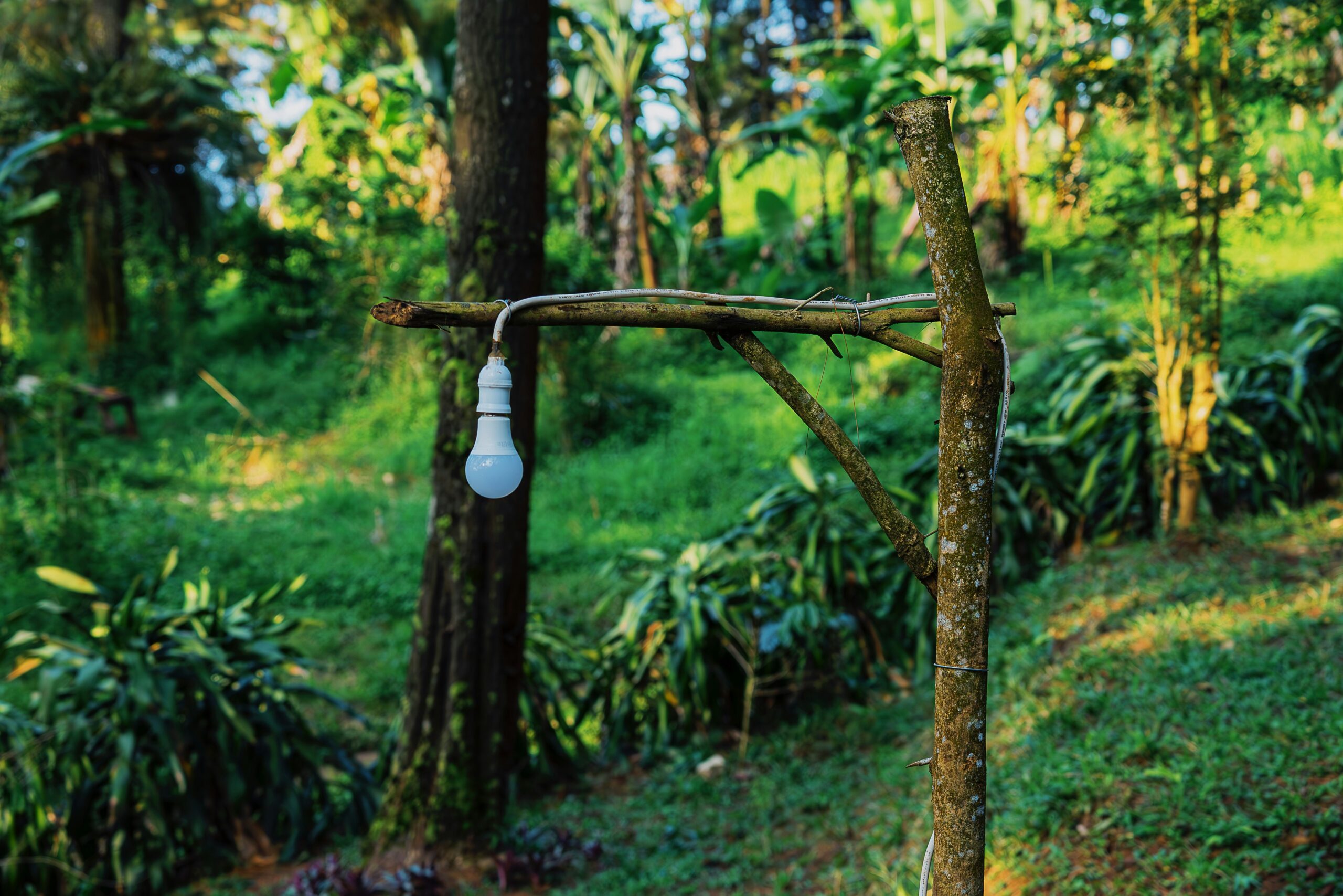 Drip Irrigation – The Most Efficient Water-Saving Technique for Modern Farming