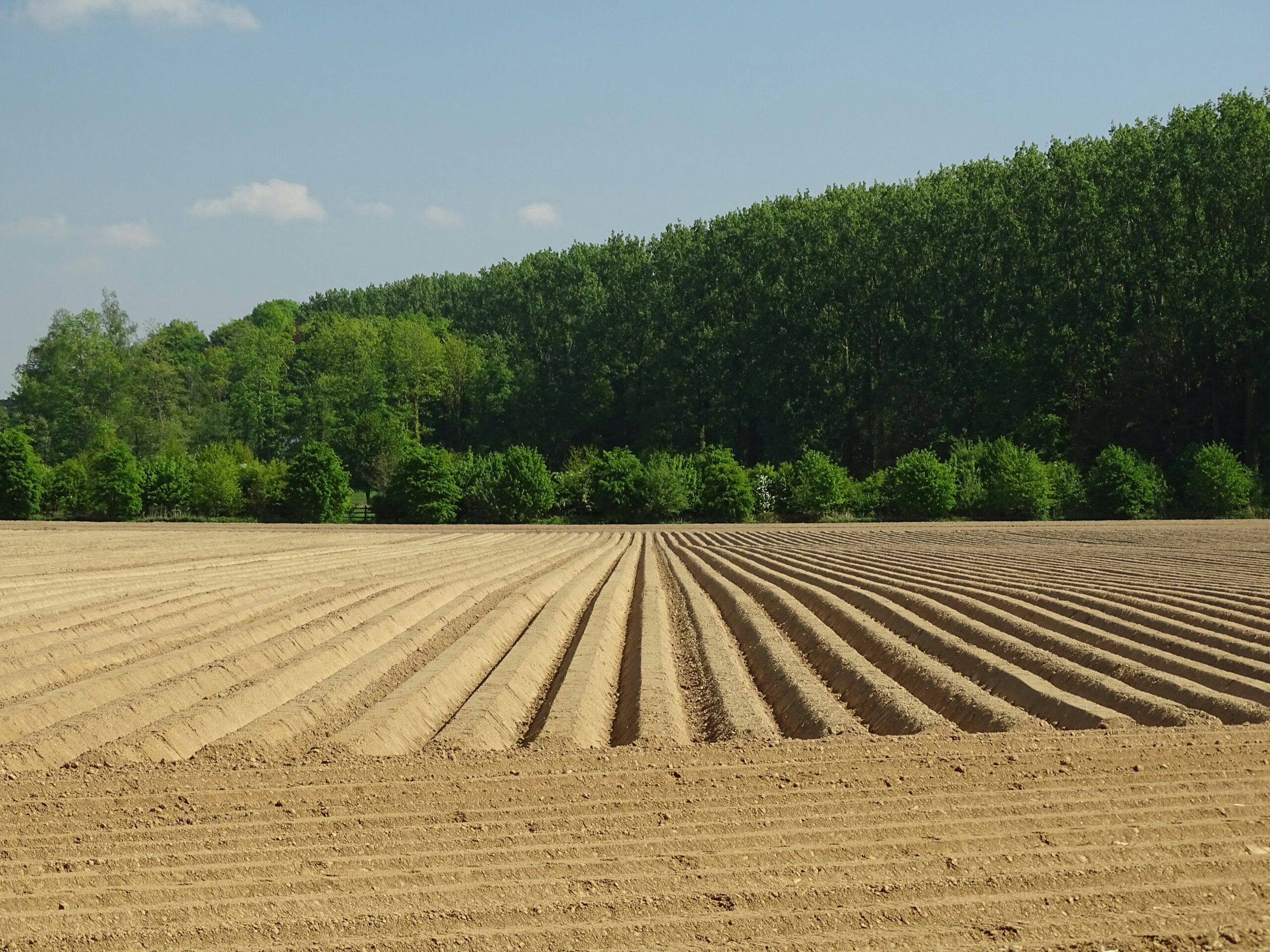 Sustainable Soil Fertility Management for Long-Term Crop Productivity and Farm Profit