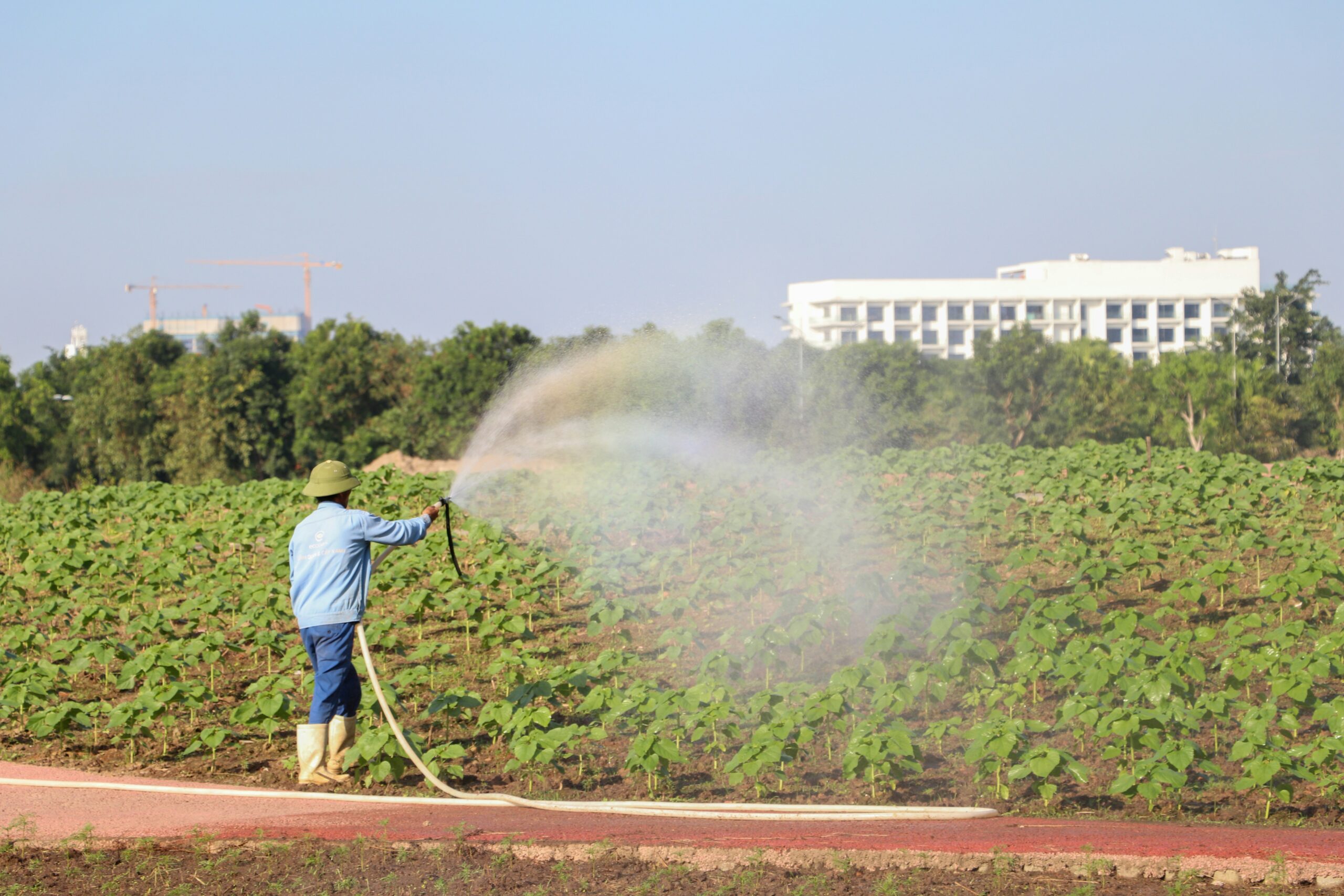 Sustainable Irrigation Scheduling for Efficient Water Use and Higher Crop Productivity