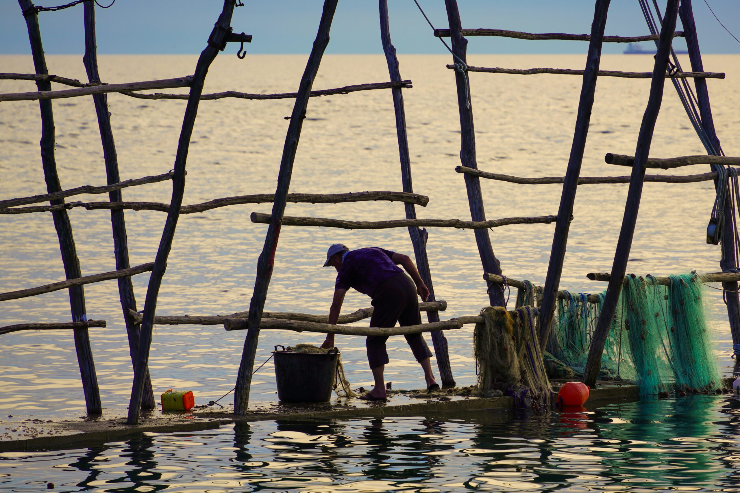 ustainable Aquaculture Practices for Increased Fish Production and Farmer Income