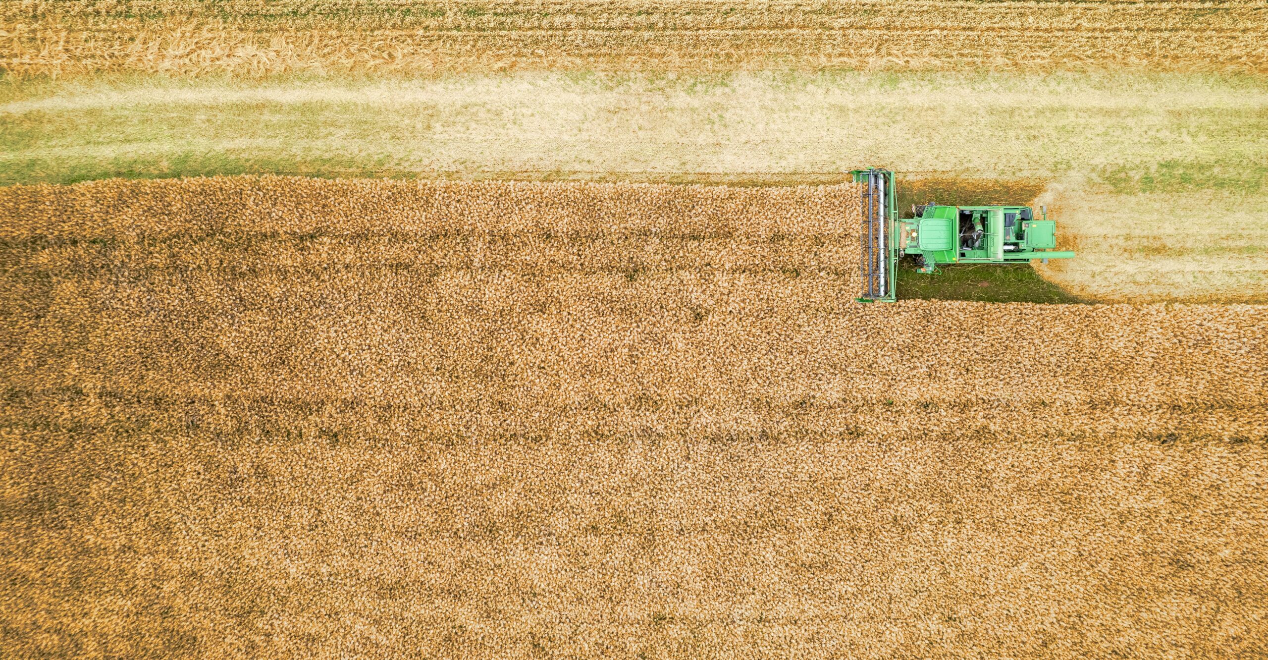 Precision Agriculture Using Digital Technologies for Smarter Farming